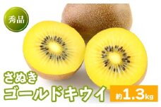 先行予約 キウイフルーツ さぬきゴールド 約1.3kg  果物 フルーツ キウイ ゴールドキウイ イエローキウイ デザート スイーツ ケーキ ジュース ゼリー アイス シャーベット ジェラート フルーツ大福 ドライフルーツ  ギフト 家庭用 旬の果物 旬 ビタミンC 美容 健康 お取り寄せ グルメ 人気 おすすめ 香川県 丸亀市