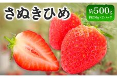 先行予約 いちご さぬきひめ 約500g  果物 フルーツ 苺 デザート スイーツ ケーキ ジュース ゼリー アイス シャーベット ジェラート フルーツ大福 ドライフルーツ クレープ ギフト 家庭用 旬の果物 旬 ビタミンC 美容 健康 お取り寄せ グルメ 人気 おすすめ 香川県 丸亀市