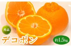 先行予約 デコポン 約1.5kg  果物 フルーツ デコポン 不知火 みかん 蜜柑 柑橘 デザート スイーツ ケーキ ジュース ゼリー アイス シャーベット ジェラート ギフト 家庭用 旬の果物 旬 お取り寄せ グルメ 人気 おすすめ 香川県 丸亀市