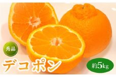 先行予約 デコポン 約5kg  果物 フルーツ デコポン 不知火 みかん 蜜柑 柑橘 デザート スイーツ ケーキ ジュース ゼリー アイス シャーベット ジェラート ギフト 家庭用 旬の果物 旬 お取り寄せ グルメ 人気 おすすめ 香川県 丸亀市