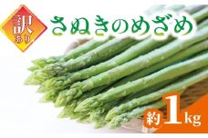 【訳あり】 アスパラガス さぬきのめざめ 1kg アスパラ グリーンアスパラ 野菜 やさい 旬 旬の野菜 季節の野菜 産地直送 冷蔵 冷蔵配送 疲労回復 免疫力向上 食物繊維 ビタミンC 柔らかい 甘い 料理 おかず アスパラベーコン巻き 炒め フライ ポタージュ 香川県 丸亀市