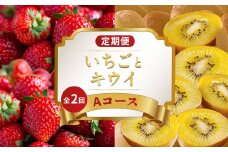 旬のフルーツ 定期便 2回 Aコース 果物 フルーツ いちご 苺 さぬきひめ キウイ さぬきゴールドキウイ キウイ デザート スイーツ  ケーキ アイス ジェラート ふるさと納税定期便 ふるさと納税フルーツ ギフト 贈答 送料無料 ふるさと納税 香川県 丸亀市