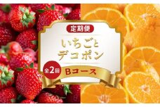 旬のフルーツ 定期便 2回 Bコース 果物 フルーツ いちご 苺 さぬきひめ デコポン 不知火 みかん 柑橘 蜜柑 デザート スイーツ ケーキ アイス ジェラート ふるさと納税定期便 ふるさと納税フルーツ ギフト 贈答 送料無料 ふるさと納税 香川県 丸亀市