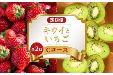 旬のフルーツ 定期便 2回 Cコース 果物 フルーツ いちご 苺 さぬきひめ キウイ 香緑 グリーンキウイ デザート スイーツ ケーキ ゼリー ジュース アイス ふるさと納税定期便 ふるさと納税フルーツ ギフト 贈答 送料無料 ふるさと納税 香川県 丸亀市