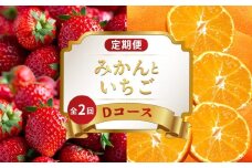 旬のフルーツ 定期便 2回 Dコース 果物 フルーツ いちご 苺 さぬきひめ 小原紅早生 みかん 柑橘 蜜柑 デザート スイーツ ケーキ アイス ゼリー フルーツ大福 ふるさと納税定期便 ふるさと納税フルーツ ギフト 贈答 送料無料 ふるさと納税 香川県 丸亀市