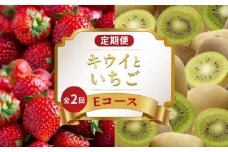 旬のフルーツ 定期便 2回 Eコース 果物 フルーツ いちご 苺 さぬきひめ キウイっこ キウイ グリーンキウイ デザート スイーツ ケーキ アイス ジェラート ふるさと納税定期便 ふるさと納税フルーツ ギフト 贈答 送料無料 ふるさと納税 香川県 丸亀市