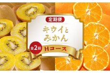 旬のフルーツ 定期便 2回 Hコース 果物 フルーツ 小原紅早生 みかん 柑橘 蜜柑 さぬきゴールドキウイ キウイ デザート スイーツ ケーキ ゼリー ジュース アイス ふるさと納税定期便 ふるさと納税フルーツ ギフト 贈答 送料無料 ふるさと納税 香川県 丸亀市