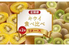 旬のフルーツ 定期便 2回 Iコース 果物 フルーツ さぬきゴールドキウイ キウイっこ グリーンキウイ キウイ デザート スイーツ ケーキ ゼリー アイス ジェラート ふるさと納税定期便 ふるさと納税フルーツ ギフト 贈答 送料無料 ふるさと納税 香川県 丸亀市