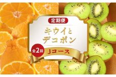 旬のフルーツ 定期便 2回 Jコース 果物 フルーツ デコポン 不知火 みかん 柑橘 蜜柑 香緑 キウイフルーツ グリーンキウイ キウイ デザート スイーツ ケーキ ふるさと納税定期便 ふるさと納税フルーツ ギフト 贈答 送料無料 ふるさと納税 香川県 丸亀市