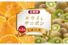 旬のフルーツ 定期便 2回 Lコース 果物 フルーツ デコポン 不知火 柑橘 みかん 蜜柑 キウイっこ キウイフルーツ デザート スイーツ ケーキ ゼリー ふるさと納税定期便 ふるさと納税フルーツ ギフト 贈答 送料無料 ふるさと納税 香川県 丸亀市