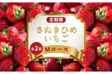 いちごの定期便 2回 Mコース 果物 フルーツ いちご 苺 さぬきひめ デザート スイーツ ケーキ ゼリー ジュース アイス ジェラート フルーツ大福 ふるさと納税定期便 定期便 ふるさと納税フルーツ ギフト 贈答 送料無料 ふるさと納税 香川県 丸亀市