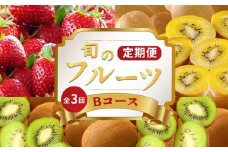 旬のフルーツ 定期便 3回 Bコース 果物 フルーツ いちご 苺 さぬきひめ さぬきゴールド キウイ ゴールドキウイ 香緑 グリーンキウイ スイーツ デザート ケーキ ゼリー ジュース ジャム アイス ジェラート フルーツ大福 クレープ ふるさと納税定期便 ふるさと納税フルーツ ギフト 贈答 送料無料 ふるさと納税 香川県 丸亀市