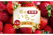 いちご 定期便 3回 Jコース 果物 フルーツ いちご 苺 さぬきひめ ケーキ ゼリー ジュース アイス ジェラート ジャム いちご大福 スイーツ デザート ケーキ ゼリー ジュース ジャム アイス ジェラート フルーツ大福 クレープ ふるさと納税定期便 ふるさと納税フルーツ ギフト 贈答 送料無料 ふるさと納税 香川県 丸亀市