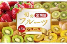 旬のフルーツ 定期便 4回 Gコース 果物 フルーツ いちご 苺 さぬきひめ キウイ さぬきゴールド 香緑 キウイっこ ゴールドキウイ グリーンキウイ スイーツ デザート ケーキ ゼリー ジュース ジャム アイス ジェラート フルーツ大福 クレープ ふるさと納税定期便 ふるさと納税フルーツ ケーキ アイス ギフト 贈答 送料無料 ふるさと納税 香川県 丸亀市
