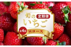 いちごの定期便 4回 Hコース 果物 フルーツ いちご 苺 さぬきひめ スイーツ デザート ケーキ ゼリー ジュース ジェラート アイス いちご大福 フルーツ大福 ジャム クレープ ショートケーキ タルト ふるさと納税定期便 ふるさと納税フルーツ ギフト 贈答 送料無料 ふるさと納税 香川県 丸亀市