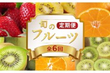 旬のフルーツ 定期便 6回 果物 フルーツ いちご 苺 キウイ みかん デコポン 不知火 柑橘 蜜柑 ゴールドキウイ グリーンキウイ さぬきひめ さぬきゴールド 香緑 キウイっこ 小原紅早生みかん ふるさと納税定期便 ふるさと納税フルーツ デザート スイーツ ケーキ アイス ギフト 贈答 送料無料 ふるさと納税 香川県 丸亀市