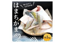 はまちかま ハマチ 約1kg セット 新鮮 魚 一本釣り 釣り 海 海産物 海の幸 魚介 惣菜 塩焼き 煮付け 切身 人気 国産 カマ ぶり はまち 鮮魚 切り身 瀬戸内海 おかず 美味 美味しい 簡単 おつまみ 朝ごはん 冷凍 冷凍配送 お取寄 急速冷凍 小分け 香川県 香川 丸亀 ふるさと納税