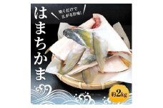 はまちかま ハマチ 約2kg セット 新鮮 魚 一本釣り 釣り 海 海産物 海の幸 魚介 惣菜 塩焼き 煮付け 切身 人気 国産 カマ ぶり はまち 鮮魚 切り身 瀬戸内海 おかず 美味 美味しい 簡単 おつまみ 朝ごはん 冷凍 冷凍配送 お取寄 急速冷凍 小分け 香川県 香川 丸亀 ふるさと納税