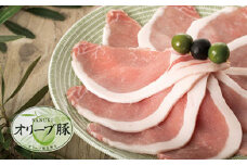 【ギフト用】豚肉 オリーブ豚 ローススライス 600g（600g×1）【化粧箱入り】【配送不可：離島】