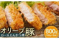 豚肉 オリーブ豚 ロースとんかつ用 800g（100g×8枚）【化粧箱入り】【配送不可：離島】