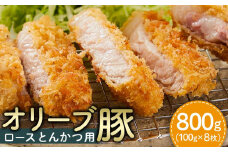 【ギフト用】豚肉 オリーブ豚 ロースとんかつ用 800g（100g×8枚）【化粧箱入り】【配送不可：離島】