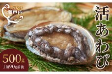 瀬戸内あわび（活）500ｇ（1個90ｇ前後）