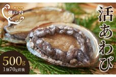 瀬戸内あわび（活）500g（1個70ｇ前後）