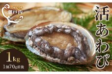瀬戸内あわび（活）1kg（1個70ｇ前後）