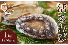 瀬戸内あわび（活）1kg（1個90ｇ前後）