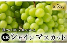 シャインマスカット約2kg（2～5房入り）