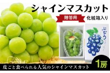 贈答用シャインマスカット1房（600g以上）化粧箱入り