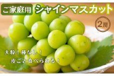 ご家庭用シャインマスカット2房入り（1.1kg以上）