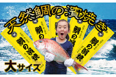 ［朝廷献上品］＜瀬戸内海産＞天然鯛の浜焼き【大サイズ】