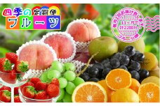 【定期便22回】創業100年 産直あきんど四季のフルーツの定期便《月2回×11ヶ月連続でお届け》