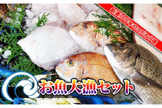 ※受付一時停止25.5.16※【瀬戸内海産】創業100年の魚屋さんが選び抜いた旨い鮮魚直送便～【配送不可地域：北海道・東北地方・沖縄・離島】