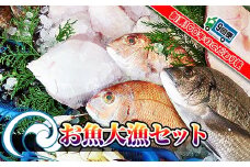 ※受付一時停止25.5.16※【定期便9回】創業100年の魚屋さんが選び抜いた旨い鮮魚直送便～