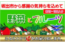 創業100年！老舗の八百屋がチョイスした厳選やさいと旬の果物の詰め合わせ
