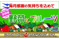 〈定期便6回〉創業100年！老舗の八百屋がチョイスした厳選やさいと旬の果物の詰め合わせ