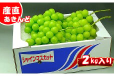 《2025年発送》特秀品シャインマスカット2kgの詰め合わせ
