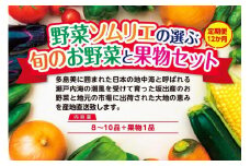 【定期便12回】野菜ソムリエの選ぶ旬のお野菜と果物セット