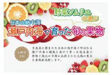 【定期便6回】野菜ソムリエの選ぶ日本の地中海、瀬戸内海の旬の果物