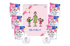 キレイキレイギフトセット E  ( 薬用泡ハンドソープ 250ml × 2 & 詰替用 200ml × 6 ）【キレイキレイ きれいきれい 殺菌 予防 石鹸 人気 ギフトセット 人気日用品 日用品 BA1032】