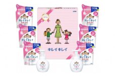 キレイキレイギフトセット E  ( 薬用泡ハンドソープ 250ml × 2 & 詰替用 200ml × 6 ）【キレイキレイ きれいきれい 殺菌 予防 石鹸 人気 ギフトセット 人気日用品 日用品 BA1032】