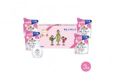 キレイキレイギフトセット Ｄ （3箱セット） ( 薬用泡ハンドソープ 250ml × 1 & 詰替用 200ml × 4 ) ｜ 石鹸 液体石鹸 ハンドソープ セット 3箱 キレイキレイ【キレイキレイ きれいきれい 殺菌 予防 石鹸 人気 ギフトセット 人気日用品 日用品 BA1031】
