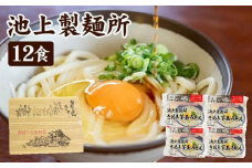 讃岐生うどん12食入（1袋3食入×4袋）＊鎌田醤油だし醤油付＊  池上製麺所監修！｜うどん 生麺