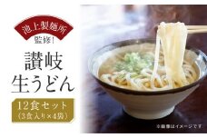 讃岐生うどん12食入（1袋3食入×4袋）＊鎌田醤油だし醤油付＊  池上製麺所監修！｜うどん 生麺