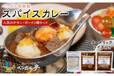 B ベンガル亭特製スパイスカレー！（チキン・ポーク2種セット）