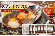 D ベンガル亭特製スパイスカレー！（たっぷり贅沢セット）