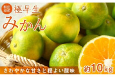 坂出市産 極早生みかん 約10kg（80～120個前後） ※配送不可地域_沖縄県