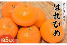 はれひめ　約5kg【配送不可：沖縄県】｜フルーツ 果物 くだもの 柑橘 食品 坂出市 人気 おすすめ 送料無料